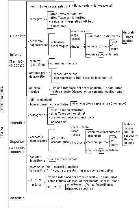 esquema etapa depredadora